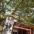 P1070728.JPG
