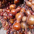 P1070729.JPG