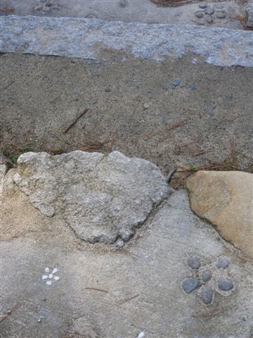 P1070733.JPG