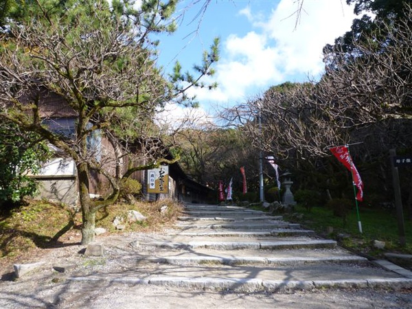 P1070734.JPG