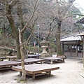 P1070736.JPG