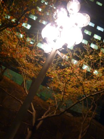 P1070773.JPG