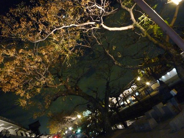 P1070892.JPG