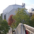 P1070935.JPG