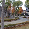P1070942.JPG
