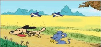 +圖片 上下前後++.png