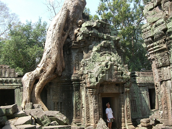 Ta Prohm, 塔普倫寺