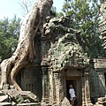 Ta Prohm, 塔普倫寺