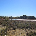 Rottnest Island