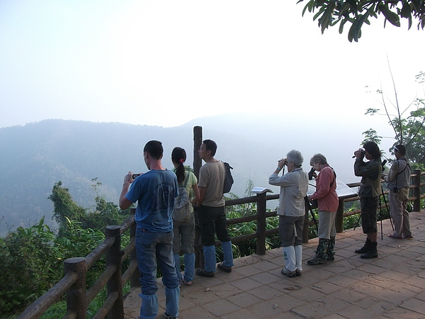 Khao Yai National Park世界遺產拷艾國家公園, 很多賞鳥人士