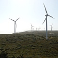 Albany Wind Farm