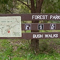 來一小段Bush Walk