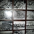 紅色高棉政權瓦解後, 在某地挖出超多骨骸