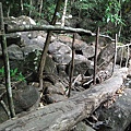 森林步道, 簡易樹幹橋