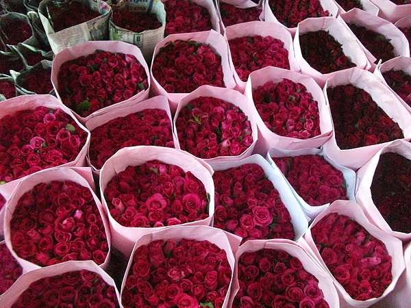Pak Khlong Market, 巴空達拉鮮花市場, 這個花市規模很大, 是殺底片的好所在