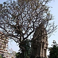 Wat Ounalom 烏隆寺
