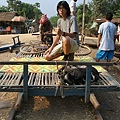 馬德望特產, 竹子火車, Bamboo Train, 柬埔寨雖有鐵軌, 但並無火車服務, 當地居民便利用簡單的引擎再鋪上竹子板, 而成為了這個火車來運送穀物