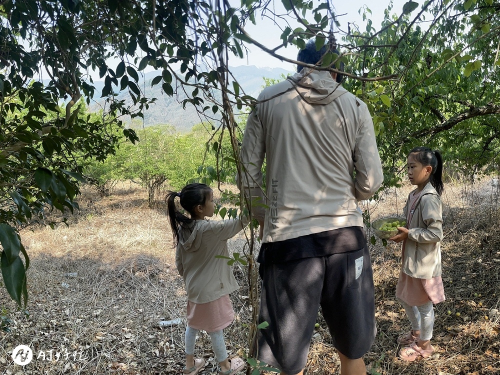 山中水手露營區｜高雄露營區推薦｜桃源區｜類野營半原始風貌的無