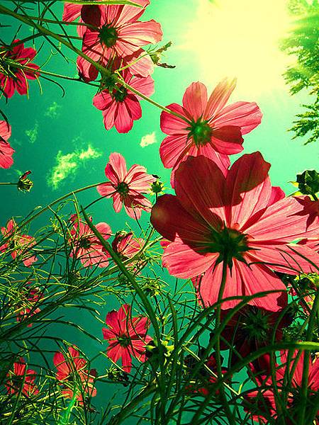 43-13060Z952260.jpg 43-13060Z952260.jpg