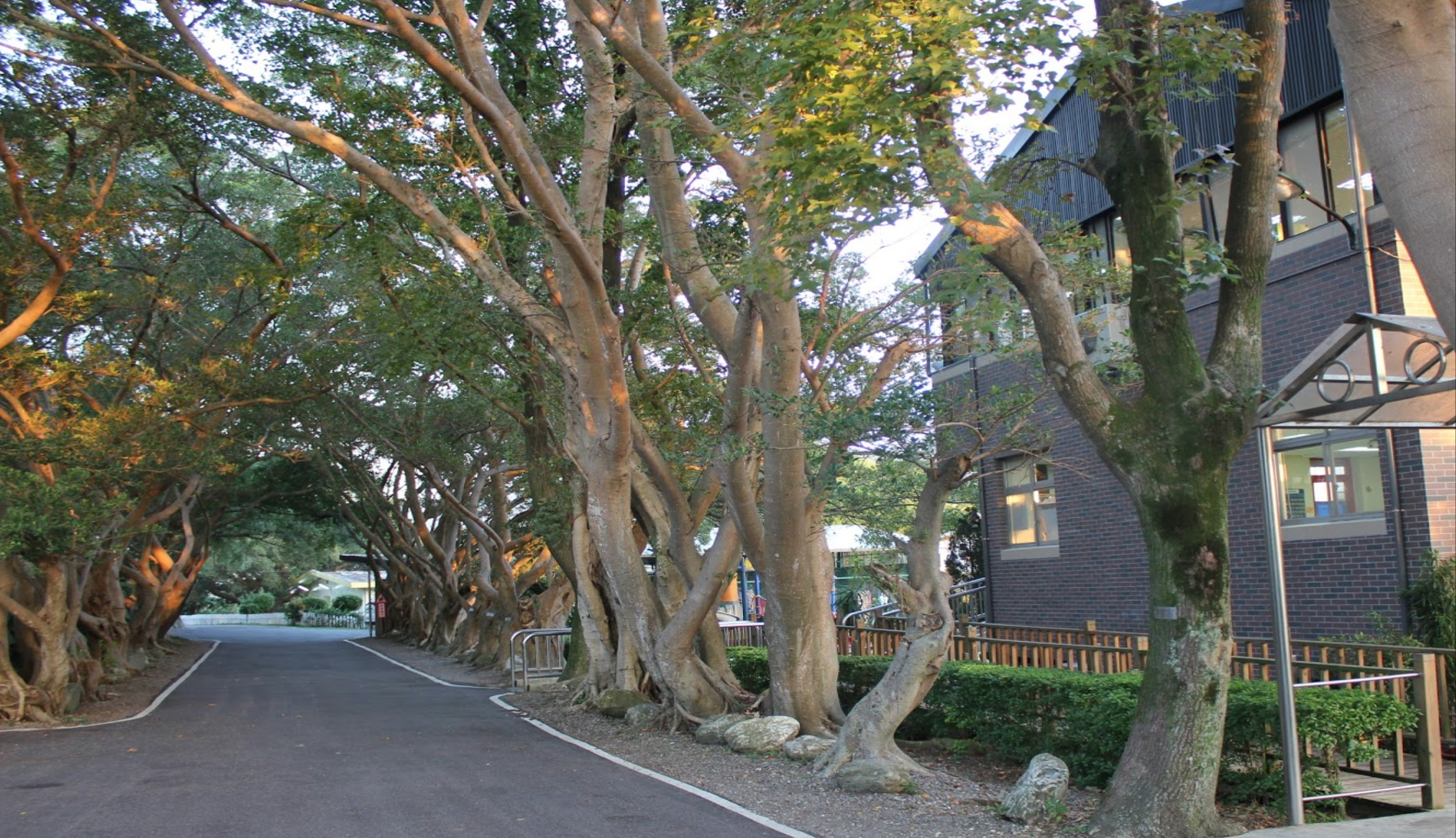 TAAS 台北復臨美國學校 - A LEAGUE 留學輔導 | 外僑學校 | 台灣國際學校 | 雙語班 | 國際班 | 申請美國大學 TAAS 台北復臨美國學校 - A LEAGUE 留學輔導 | 外僑學校 | 台灣國際學校 | 雙語班 | 國際班 | 申請美國大學