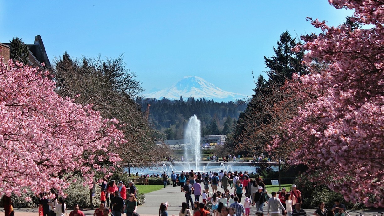 UW 華盛頓大學 - 西岸最美麗的卓越校園 - 美國大學|申請大學|百大名校|國外留學|XL ACADEMY|國際學校 UW 華盛頓大學 - 西岸最美麗的卓越校園 - 美國大學|申請大學|百大名校|國外留學|XL ACADEMY|國際學校