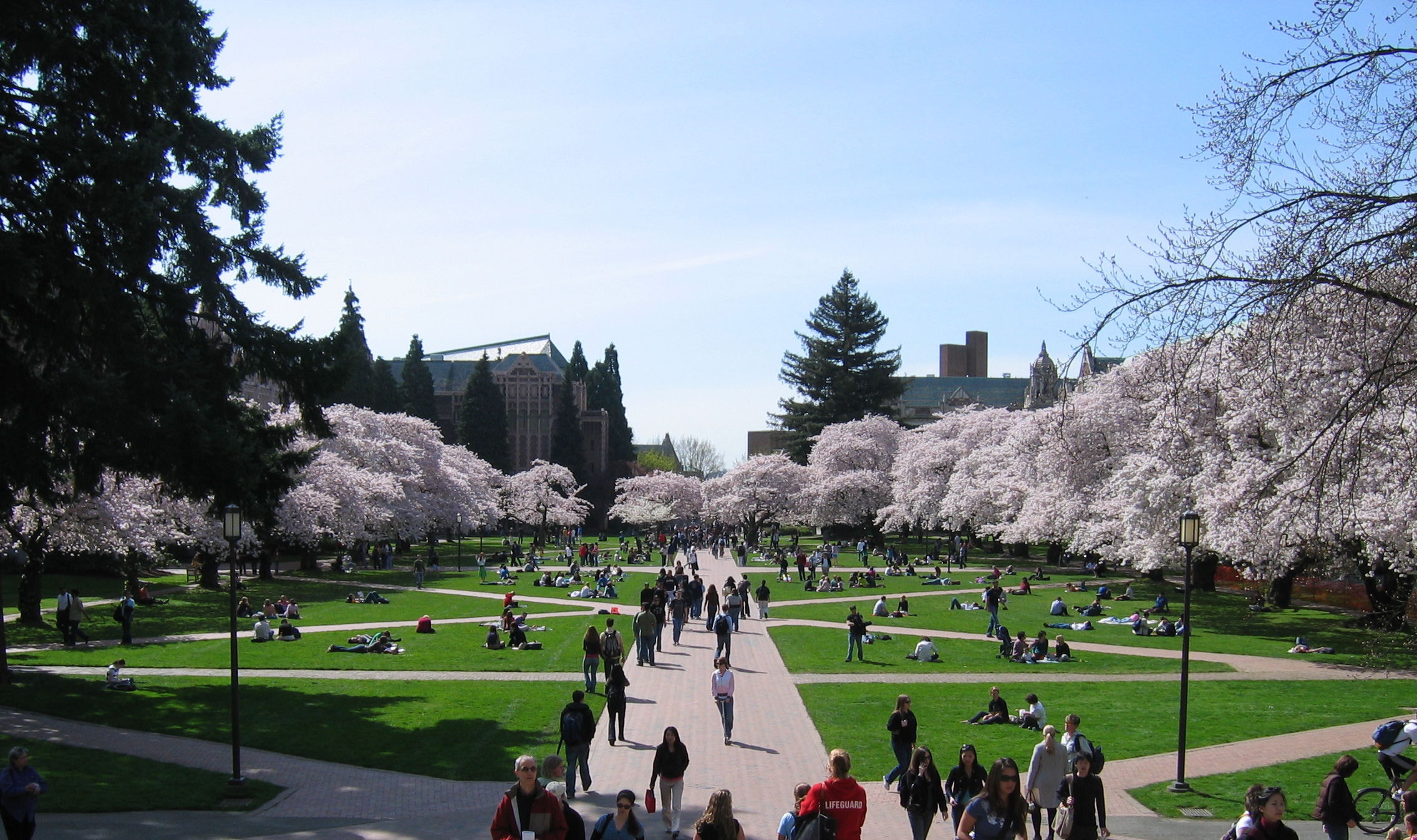 UW 華盛頓大學 - 西岸最美麗的卓越校園 - 美國大學|申請大學|百大名校|國外留學|XL ACADEMY|國際學校 UW 華盛頓大學 - 西岸最美麗的卓越校園 - 美國大學|申請大學|百大名校|國外留學|XL ACADEMY|國際學校