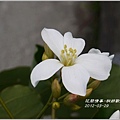 2012-03-桐妍歡喜10