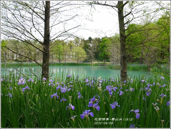 2012-04-雲山水7