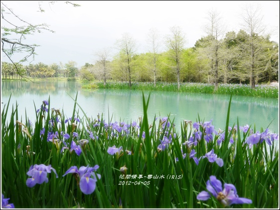 2012-04-雲山水14 2012-04-雲山水14