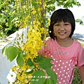 2012-06-又是阿勃勒3