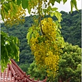 2012-06-阿勒勒36