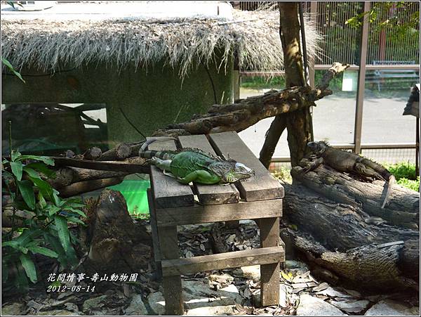 2012-08-高雄壽山動物園5