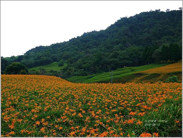 2012-08-赤柯山25