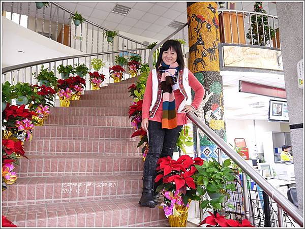 2012-12-辦公室綠美化5