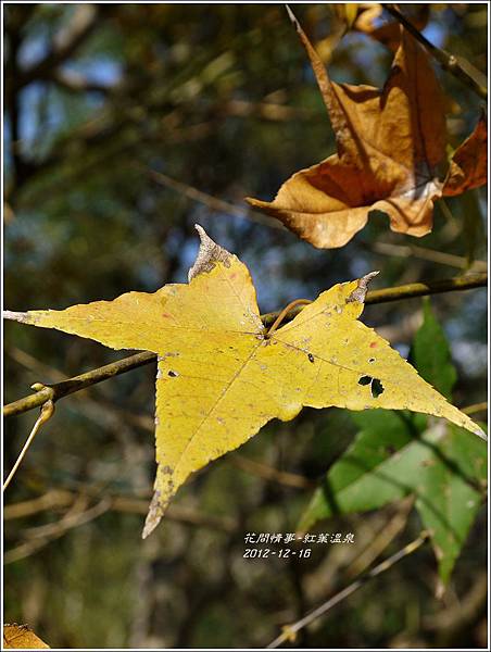 2012-12-紅葉溫泉38