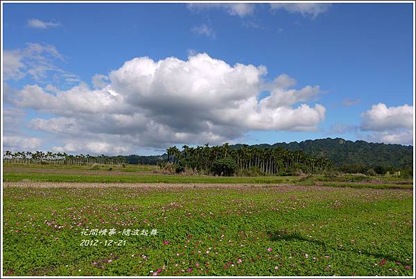 2012-12-隨波起舞2