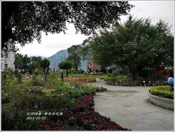 2013-01-鬱金香花園1