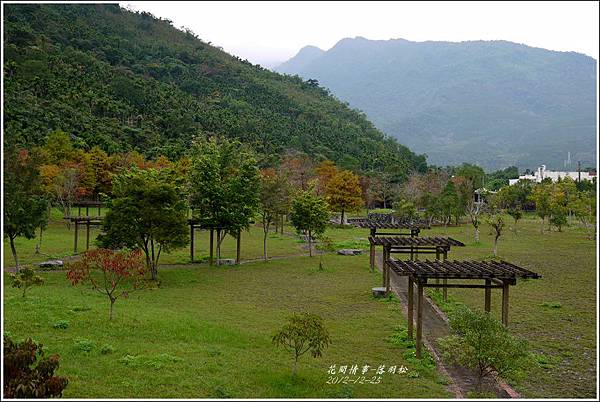 2012-12-落羽松之美3