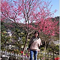2013-01-現櫻情-玉山神學院2