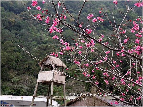 2013-01-林田山文化園區29