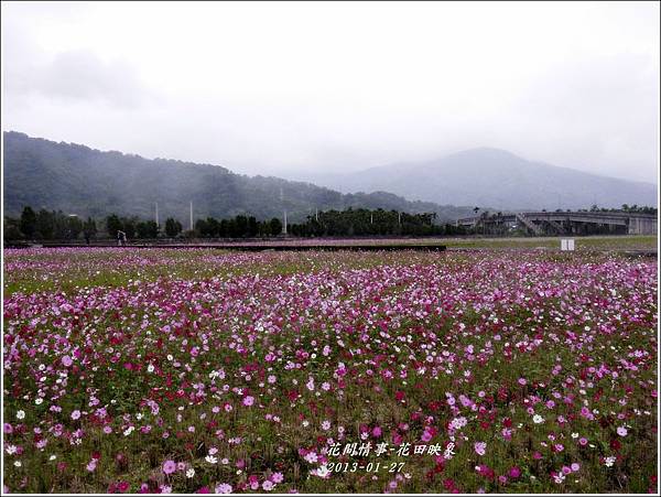 2013-01-花田映象2