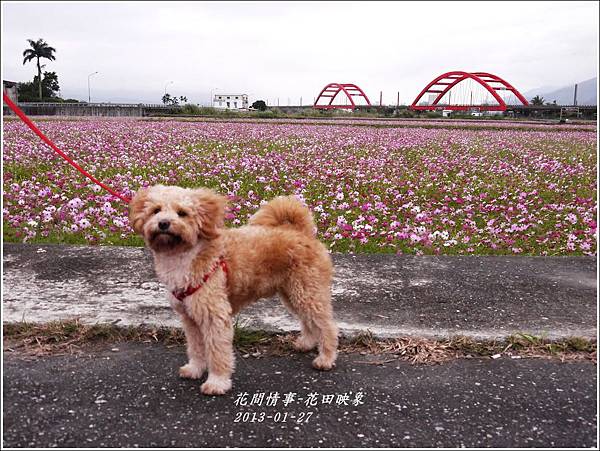 2013-01-花田映象9