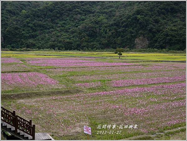 2013-01-花田映象17