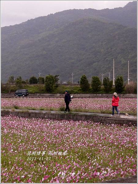 2013-01-花田映象23