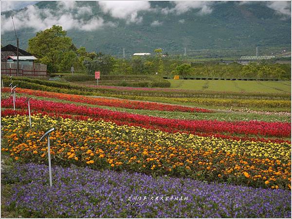 2013-02-大農大富平地森林29