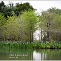 2013-04-雲水山鳶尾季22