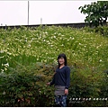 2013-04-百合戀(瑞穗泛舟遊客中心)6