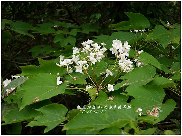 2013-04-南安鹿鳴吊橋16