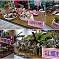 2013-原鄉傳粽-慶端午19