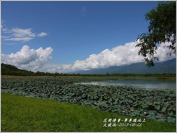 2013-08-池上自行車道12.jpg